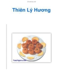 Thiên Lý Hương