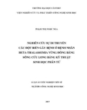 Luận án tiến sĩ Nông nghiệp: Nghiên cứu sự di truyền các đột biến gây bệnh ở bệnh nhân Beta thalassemia vùng Đồng bằng sông Cửu Long bằng kỹ thuật sinh học phân tử