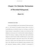 Chapter 114. Molecular Mechanisms of Microbial Pathogenesis (Part 11)