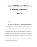 Chapter 114. Molecular Mechanisms of Microbial Pathogenesis (Part 10)