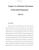 Chapter 114. Molecular Mechanisms of Microbial Pathogenesis (Part 3)