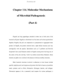 Chapter 114. Molecular Mechanisms of Microbial Pathogenesis (Part 4)