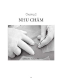 Nghiên cứu quang châm và nhu châm: Phần 2