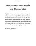 Sinh con dưới nước: mẹ lẫn con đều mạo hiểm