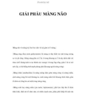 GIẢI PHẪU MÀNG NÃO