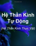 Tóm tắt Hệ Thần Kinh Tự Động