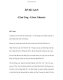 ÁP XE GAN (Can Ung - Liver Abcess)