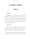 SA TRỰC TRÀNG (Kỳ 2)