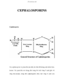 CEPHALOSPORINS