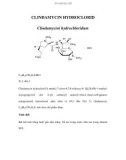 CLINDAMYCIN HYDROCLORID