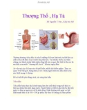 Thượng Thổ , Hạ Tả - Tiêu chẩy