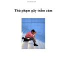 Thủ phạm gây trầm cảm