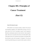 Chapter 081. Principles of Cancer Treatment (Part 12)