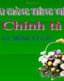 Bài Chính tả: Nhớ, viết: Gà Trống và Cáo - Bài giảng điện tử Tiếng việt 4 - GV.N.Phương Hà