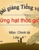 Bài giảng Chính tả: Nghe, viết: Những hạt thóc giống - Tiếng việt 4 - GV.N.Hoài Thanh