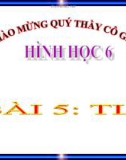 Bài giảng Hình học 6 chương 1 bài 5: Tia