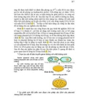 Giáo trình di truyền học part 9