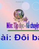 Giáo án điện tử môn Tiếng Việt lớp 3 - Tuần 16: Tập đọc - Kể chuyện Đôi bạn