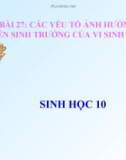 Sinh học 10: Bài giảng Các yếu tố ảnh hưởng đến sinh trưởng của vi sinh vật