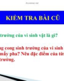 Bài giảng Sinh học 10 phần 3 chương 2 bài 27: Các yếu tố ảnh hưởng đến sinh trưởng vi sinh vật