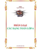 Phân loại các dạng Toán lớp 6