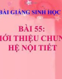 Bài giảng Sinh học 8 bài 55: Giới thiệu chung hệ nội tiết