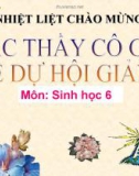 Bài giảng Sinh học 6: Bài 23 - Cây có hô hấp không? (Tiết 26)