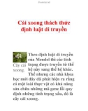 Cải xoong thách thức định luật di truyền