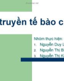 Bài giảng Di truyền tế bào chất