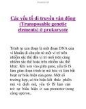 Các yếu tố di truyền vận động ở prokaryote