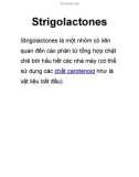 Strigolactones