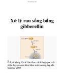 Xử lý rau sống bằng gibberellin