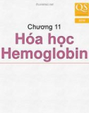 Bài giảng Hóa sinh - Chương 11: Hóa học hemoglobin