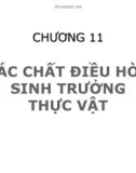 Bài giảng Sinh học đại cương (Phần 3): Chương 11 - ThS. Võ Thanh Phúc