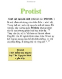 Protist