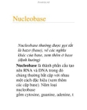 Nucleobase