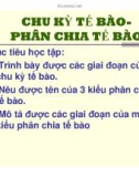 Bài giảng Chu kỳ tế bào, phân chia tế bào