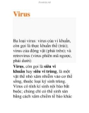 Tài liệu: Virus