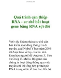 Quá trình can thiệp RNA - cơ chế bất hoạt gene bằng RNA sợi đôi