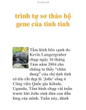 trình tự sơ thảo bộ gene của tinh tinh