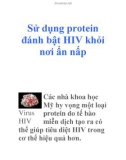 Sử dụng protein đánh bật HIV khỏi nơi ẩn nấp