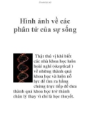 Hình ảnh về các phân tử của sự sống