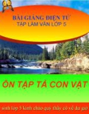 Bài giảng Tiếng việt 5 tuần 30 bài: Ôn tập tả con vật