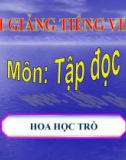 Bài giảng Tiếng việt 4 tuần 23 bài: Hoa học trò