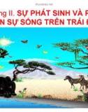 Bài giảng Sinh học 12 - Bài 32: Nguồn gốc sự sống (Nguyễn Hoàng)