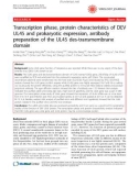 Báo cáo y học: Transcription phase, protein characteristics of DEV UL45 and prokaryotic expression, antibody preparation of the UL45 des-transmembrane domain