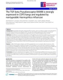 Báo cáo y học: The TGF-beta-Pseudoreceptor BAMBI is strongly expressed in COPD lungs and regulated by nontypeable Haemophilus influenzae