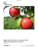 báo cáo khoa học: Apple skin patterning is associated with differential expression of MYB10