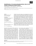 Báo cáo khoa học: Identiﬁcation of tyrosine-phosphorylation sites in the nuclear membrane protein emerin