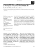 Báo cáo khoa học: Direct identiﬁcation of hydrophobins and their processing in Trichoderma using intact-cell MALDI-TOF MS